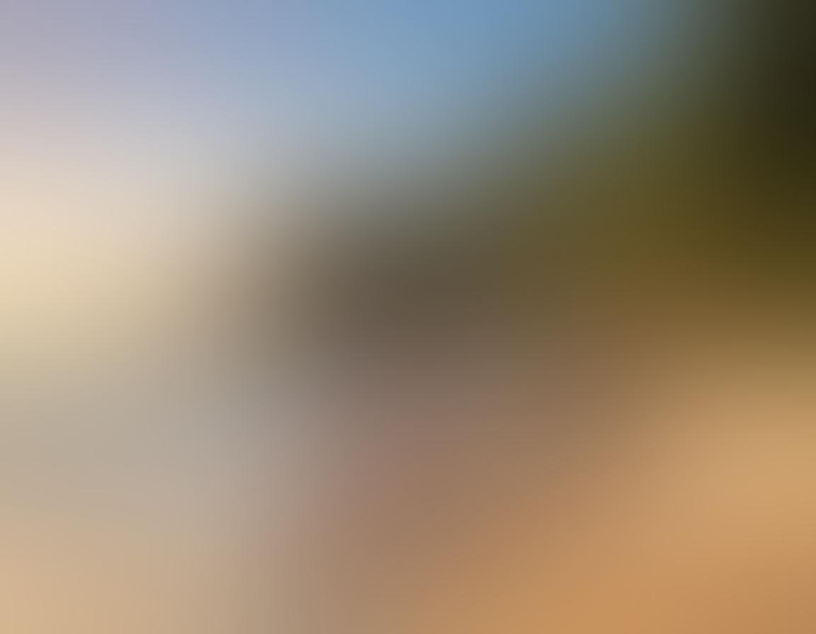 An idyllic sunlit scene of a serene beach where diverse individuals of various shapes and sizes are engaging in activities such as yoga, painting, and leisurely walks, embodying the beauty of body freedom. The background features gentle waves and lush greenery, symbolizing connection to nature. Incorporate warm, inviting tones to evoke a sense of peace and acceptance. vibrant colors. nature-inspired. super-realistic.